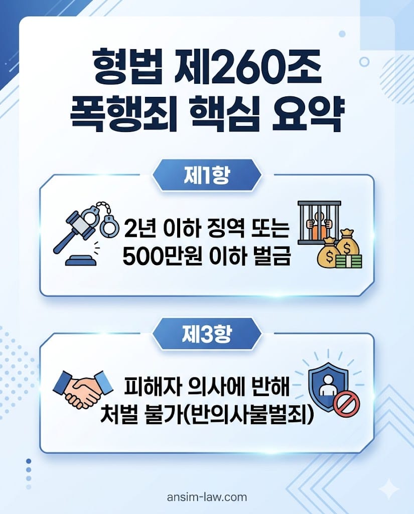 형법 제260조 폭행죄 조문 및 반의사불벌죄 특징 요약표